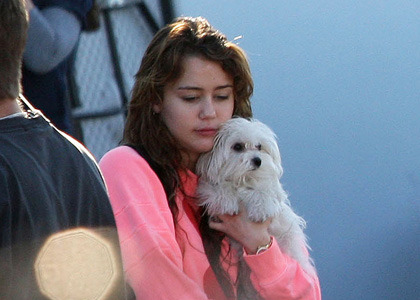 miley-cyrus-pooch-am - Miley Cyrus