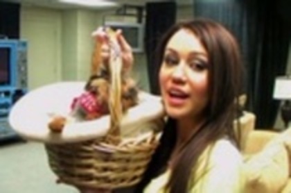 11497789_MTYNXYFGM[1]