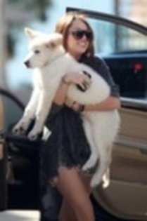 11497854_SWHVJFOFS[1] - miley cyrus