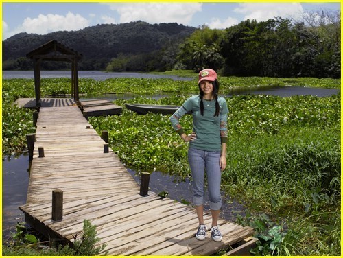 Princess-Protection-Program-princess-protection-program-5788815-500-376