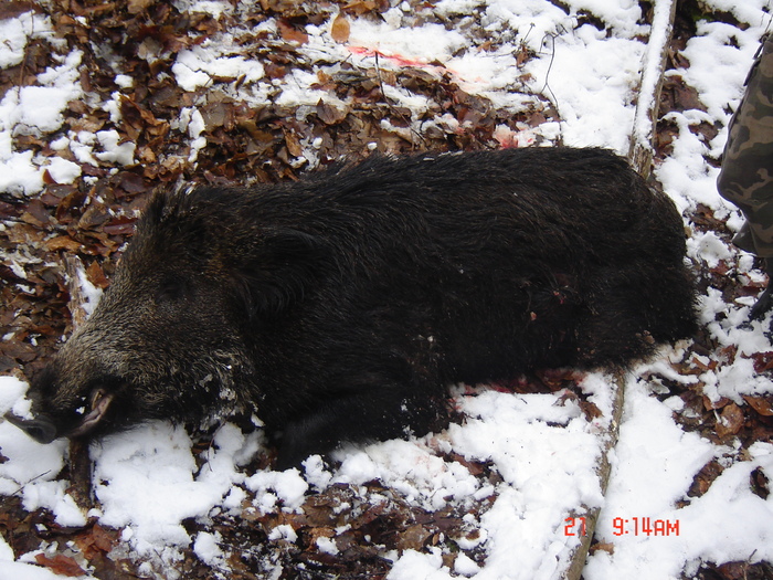 DSC04021 - Vanatoare  si pescuit