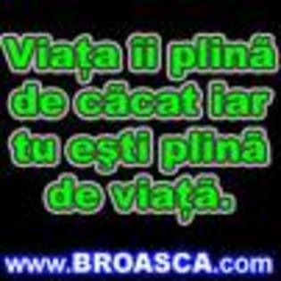 AYDVJ86CA67SCS2CAE0UU1MCAKFO646CAL1AQRNCAO11PU8CA129AV4CAA3SZSACA1D9VAECATFEOT5CA9FRU9KCAUA1AA3CA0Q8 - Avatare luate de pe ici pe colo