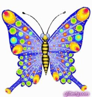 fluture - fluturi colorati