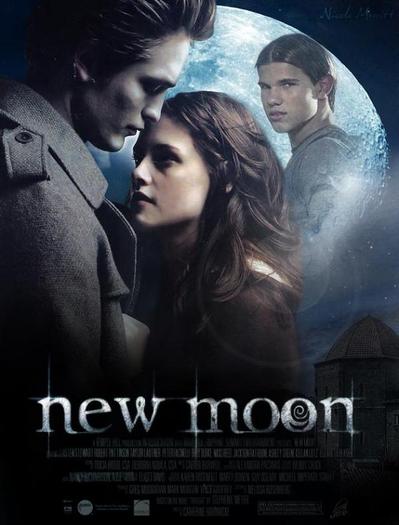 29 - Twilight si New moon