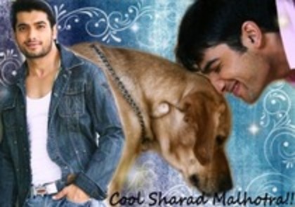 sharad - SHARAD MALHOTRA