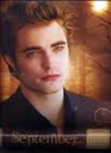 ATXBEIBCAMNSXV0CAQYPWV9CA7M9LPECAJZT7HNCAD762RFCAWMGU4VCA011MWWCATE632RCA3DV259CA7BBAKWCAZ0SMENCAVSR - twilight si new moon