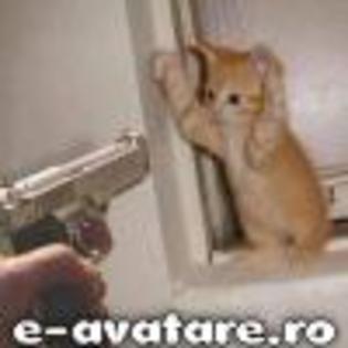 avatare_gratuite_3ab917902f798be56044d5217b76cf41[1] - animale