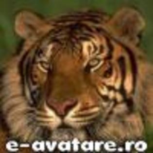 avatare_gratuite_9bca67d35d53e3ec67f55ec51fe29bd6[1]