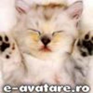 avatare_gratuite_18204749546ea526e203fe6.27823387[1] - animale