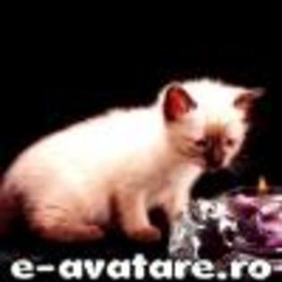 avatare_gratuite_68389419046ef7ce84012b7.47747572[1] - animale