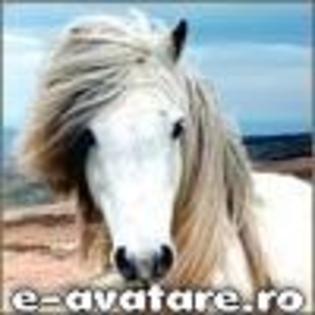 avatare_gratuite_100750844446b0b30223e0f7.06989984[1] - animale