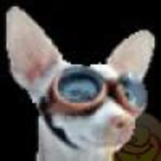 avatare_gratuite_ec766f7ca37facb41f8bc5cc1db9203a[1]