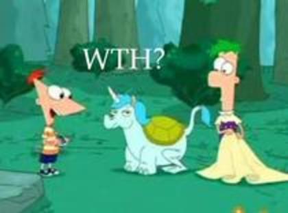 11502217_NQAGFUITW - phineas si ferb