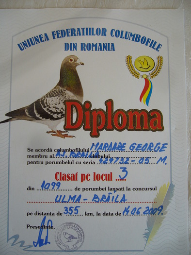 Locul 3 Ulma 355 km - Diplome