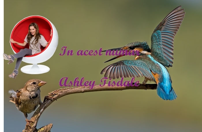 bun venit in lumea vedetei ashley tisdale - 000Revista Ashley tisdale000