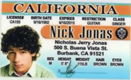 CelebrityLicenseID-NickJonas196x120