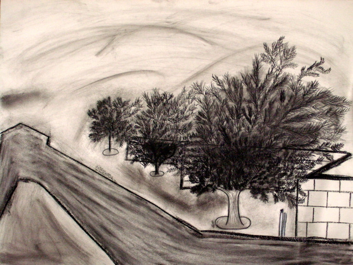 LandscapeofSidewalkandTrees - Charcoal