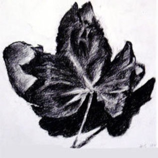 charcoal11