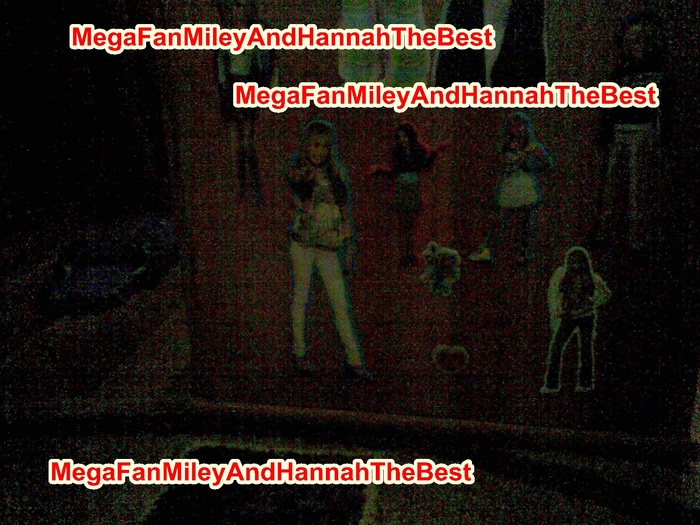 Imag190 - Lucrurile mele cu Hannah Montana si Miley Cyrus