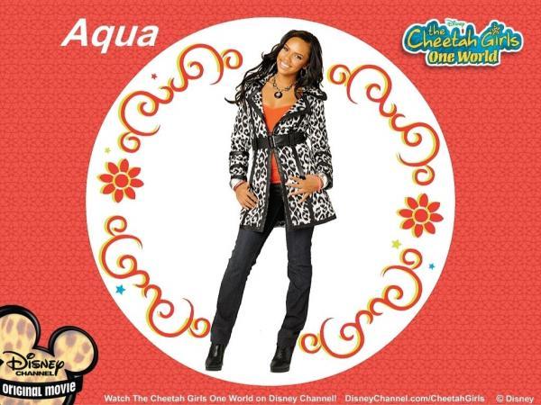 The_Cheetah_Girls_One_World_1258831712_1_2008