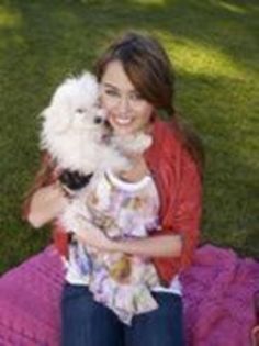 Miley sedinta foto 12