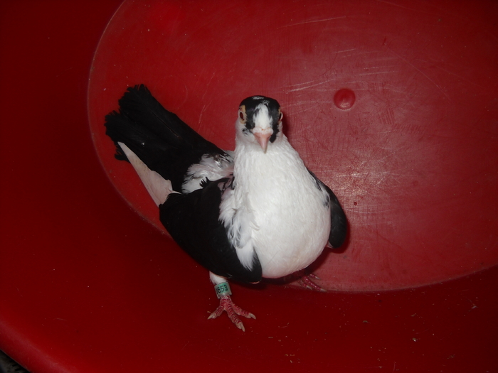 Picture 192