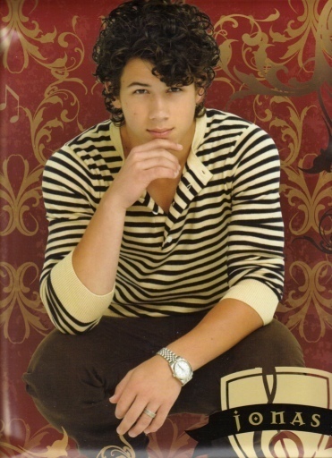 JONAS-2010-Calendar-the-jonas-brothers-7987840-371-512 - jonas brothers