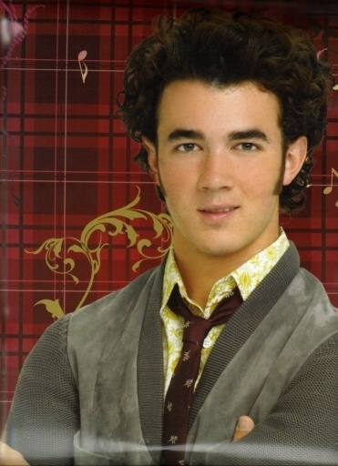 JONAS-2010-Calendar-the-jonas-brothers-7987847-371-512