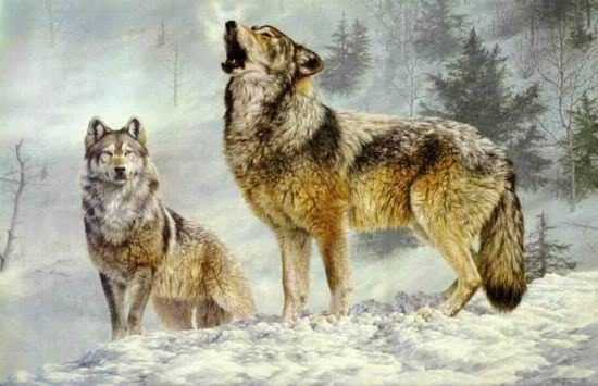 [image] - Wolf