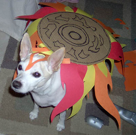 cosplay okami