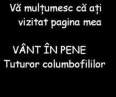 VANT IN PENE !!!