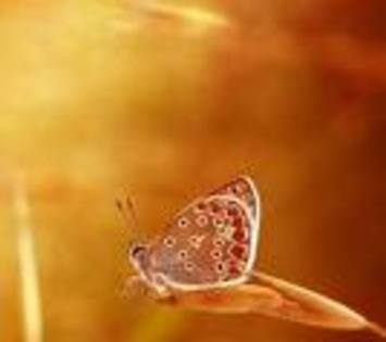 8XCAS4F9KWCAAQ86LDCA033ANMCA0TO66KCA9Y0PBQCAEDRRW4CABHQ9QSCA95YBRRCAH1RKC9CAUTPO2YCAVK63CACAU01QVLCA