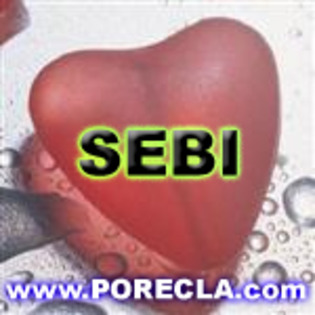 284-SEBI%20avatare%20indragostiti