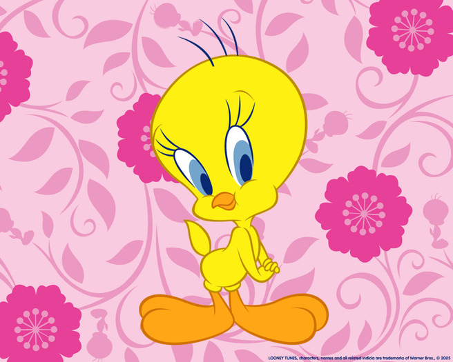 tweety1_wall_1280x1024 - avatare