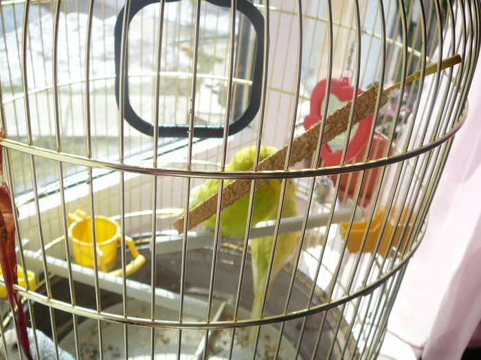 P1160504 - My birthday 2010