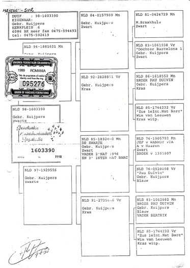 Binder1_Page_08
