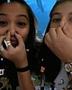 thumb_l_2fc6caf7dd834aa29d5d59de84d5b09d - Stella Hudgens