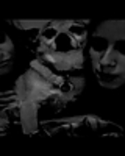 thumb_l_60d49b8ff883481fb0fb5a54b67a59f4 - Stella Hudgens