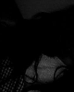 thumb_l_c465ebb726b24cfd83d403a77e9937b5 - Stella Hudgens