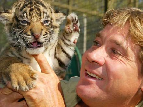 irwin2_wideweb__470x352,0 - steve irwin