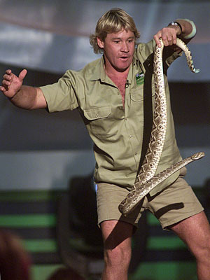 Steve_Irwin - steve irwin