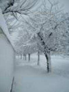 PYCA3R7AECCADDPIPJCAOE7RCTCAE21DFKCAP3ZSX5CAV1T4N8CA0R0TR7CAEAITWACAEM9QALCARMKLTSCANE7MKNCAKU3OF2CA