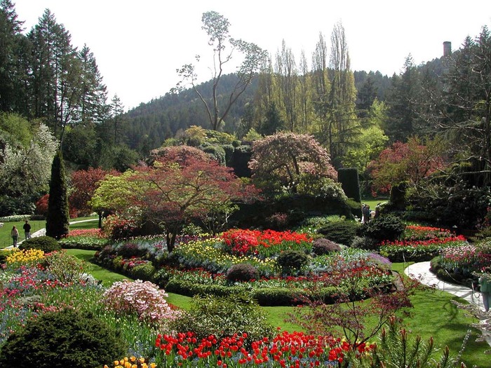 Butchart-Gardens-Sunken-Garden-01 (1) - Garden