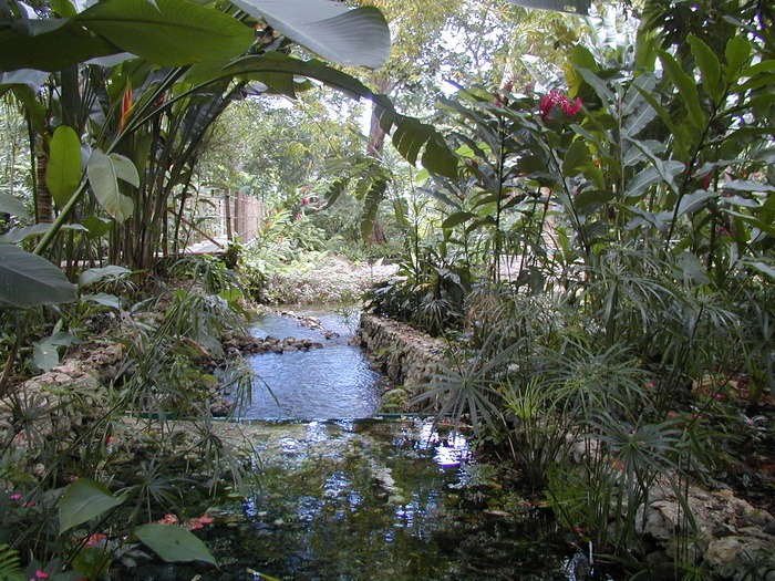 Coyaba River Garden and Museum-or_at_cyba05 - Garden