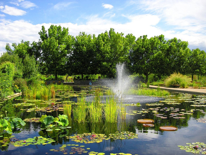 Denver_Colorado_Botanic_Garden