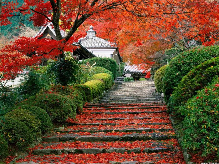 garden-staircase_kyoto_japan - Garden