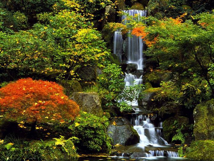 Japanese Garden, Portland, Oregon - Garden