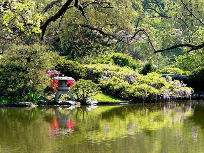 japanese_garden-1757 - Garden