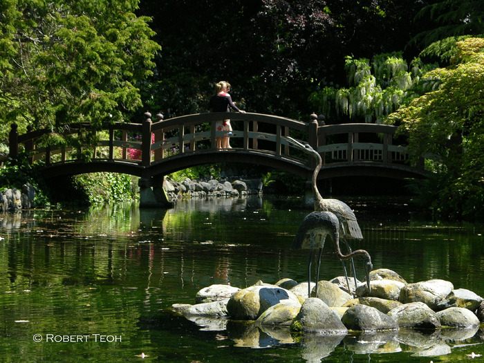 japanese-garden-bridge - Garden