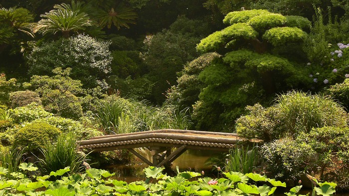 japanese-garden-bridge2 - Garden
